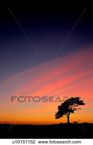 Stock Image - Natural Impressions, Nature, Landscape, Scenery. Fotosearch