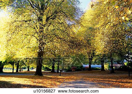 Stock Photo - Natural Impressions, Nature, Landscape, Scenery. Fotosearch
