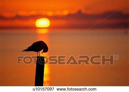 Stock Photo - Natural Impressions, Nature, Landscape, Scenery. Fotosearch