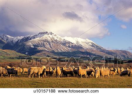Stock Photo - Natural Impressions, Nature, Landscape, Scenery. Fotosearch