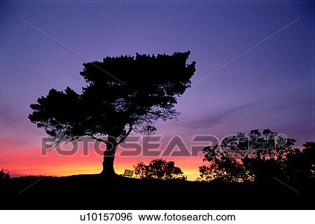 Stock Photograph - Natural Impressions, Nature, Landscape, Scenery. Fotosearch