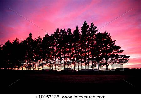 Natural Impressions, Nature, Landscape, Scenery View Large Photo Image Stock Photograph - Natural Impressions, Nature, Landscape, Scenery. Fotosearch
