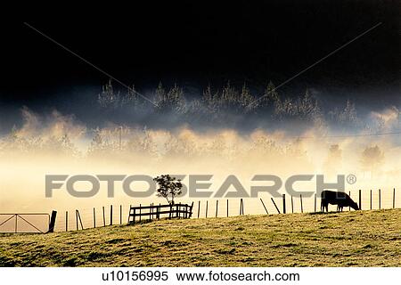 Stock Photography - Natural Impressions, Nature, Landscape, Scenery. Fotosearch
