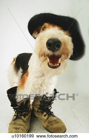 Close-Up, standing, watching Cute View Large Photo Image Stock Photo - Close-Up, standing, watching Cute. Fotosearch