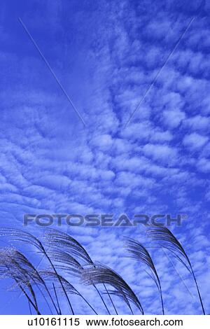Stock Photography - Outdoors, Day, Blue. Fotosearch