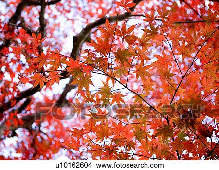 Outdoors, Day View Large Photo Image Picture - Outdoors, Day. Fotosearch