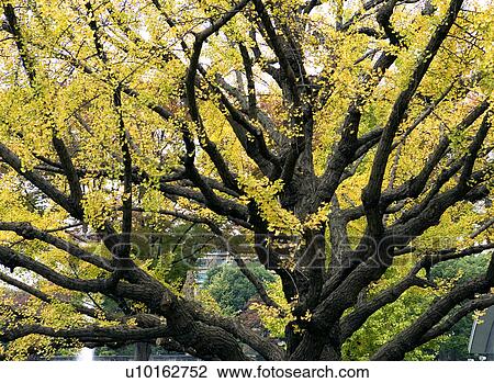 Outdoors, Day View Large Photo Image Stock Image - Outdoors, Day. Fotosearch