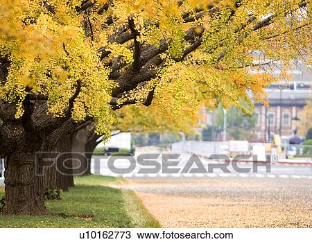 Stock Image - Outdoors, Day. Fotosearch