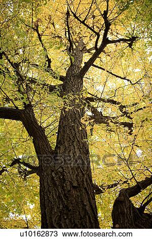 Outdoors, Day View Large Photo Image Stock Image - Outdoors, Day. Fotosearch