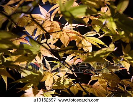 Outdoors, Day View Large Photo Image Stock Photo - Outdoors, Day. Fotosearch