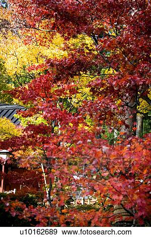 Stock Photo - Outdoors, Day. Fotosearch
