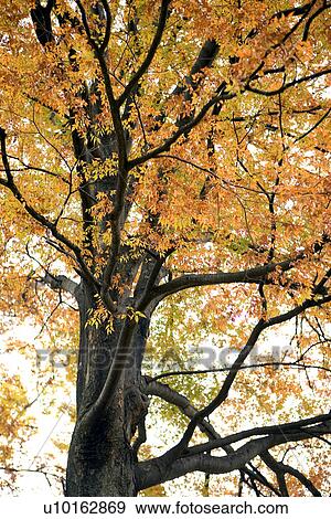 Outdoors, Day View Large Photo Image Stock Photo - Outdoors, Day. Fotosearch