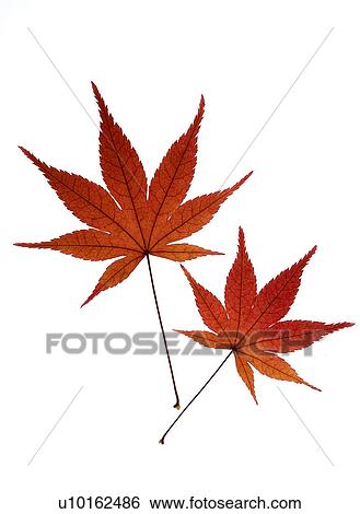 Outdoors, Day View Large Photo Image Stock Photograph - Outdoors, Day. Fotosearch