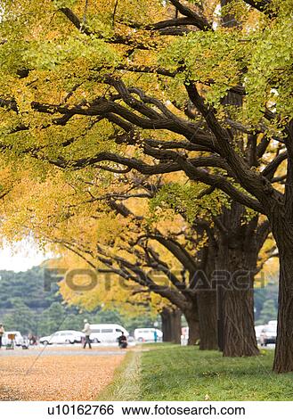 Stock Photograph - Outdoors, Day. Fotosearch