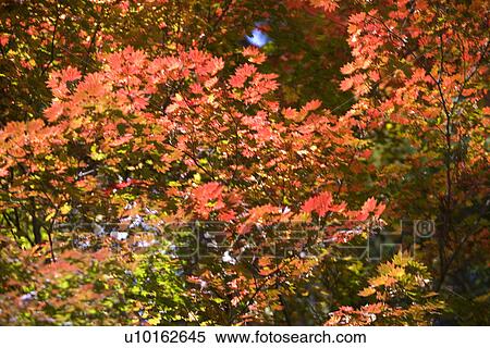 Outdoors, Day View Large Photo Image Stock Photography - Outdoors, Day. Fotosearch
