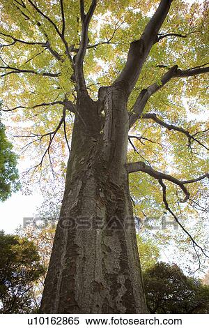 Outdoors, Day View Large Photo Image Stock Photography - Outdoors, Day. Fotosearch