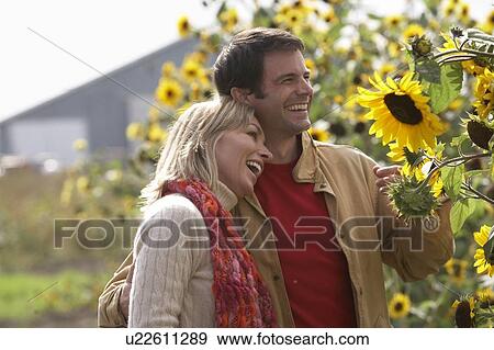 Couple on an organic farm looking at sunflowers, Ladner, British Columbia, Canada View Large Photo Image Stock Photo - Couple on an organic farm looking at sunflowers, Ladner, British Columbia, Canada. Fotosearch