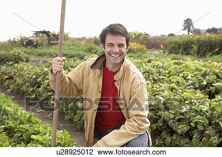 Stock Image - Man kneeling in organic garden, Ladner, British Columbia, Canada. Fotosearch