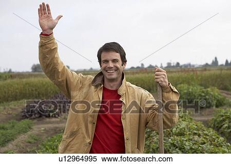 Man waves in field of organic vegetables, Ladner, British Columbia, Canada View Large Photo Image Stock Photography - Man waves in field of organic vegetables, Ladner, British Columbia, Canada. Fotosearch