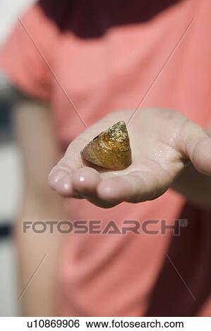 5 year old girl with a hermit crab, Monterey Bay, California View Large Photo Image Stock Photograph - 5 year old girl with a hermit crab, Monterey Bay, California. Fotosearch