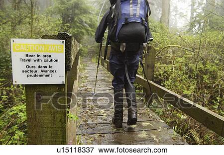 Stock Photo - Backpacker walking past a sign saying Bear in Area, West Coast Trail, Pacific Rim National Park Reserve, BC. Fotosearch