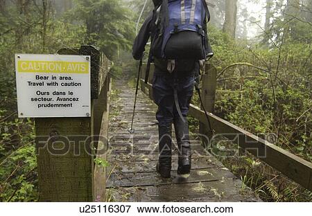 Backpacker walking past a sign saying Bear in area, West Coast Trail, Pacific Rim National Park Reserve, BC, Canada View Large Photo Image Stock Photo - Backpacker walking past a sign saying Bear in area, West Coast Trail, Pacific Rim National Park Reserve, BC, Canada. Fotosearch