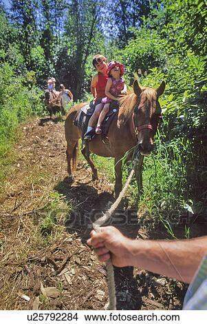 Boy, 6, and girl, 3, sit on a horse together led by adult, Whistler, BC Canada View Large Photo Image Picture - Boy, 6, and girl, 3, sit on a horse together led by adult, Whistler, BC Canada. Fotosearch