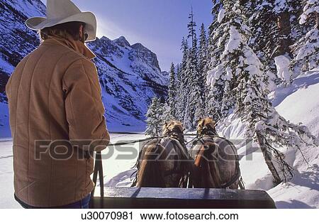 Stock Image - Cowboy drives horse sleigh at Lake Louise, Alberta. Fotosearch