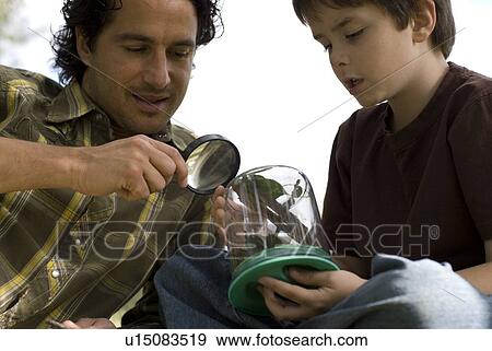 Stock Photo - Father and son looking at insect in collection jar, Assiniboine Park, Winnipeg, Canada. Fotosearch