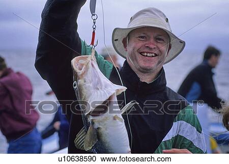 Stock Image - Man holds up cod in fishing boat, PEI. Fotosearch