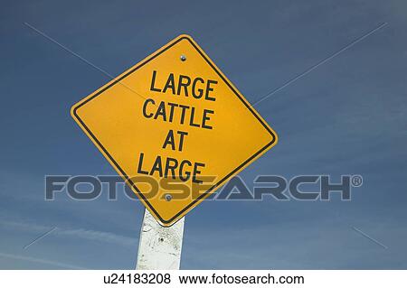Sign, Saskatchewan, Digital Composition View Large Photo Image Stock Photo - Sign, Saskatchewan, Digital Composition. Fotosearch