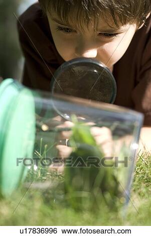 Stock Photograph - Six year old boy looking at collecting jar through magnifying glass, Assiniboine Park, Winnipeg, Canada. Fotosearch
