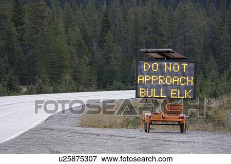 Stock Photo - Temporary warning sign posted along highway during Elk rutting season, Jasper National Park, Alberta, Canada.. Fotosearch