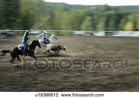 A rodeo in Rock Creek, British Columbia, held every year in the Fall View Large Photo Image Stock Image - A rodeo in Rock Creek, British Columbia, held every year in the Fall. Fotosearch