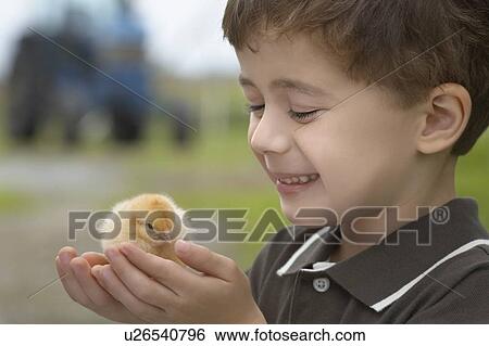 Little boy holding a baby chick on a farm with a tractor in the background, Waterford, Ontario View Large Photo Image Stock Photograph - Little boy holding a baby chick on a farm with a tractor in the background, Waterford, Ontario. Fotosearch