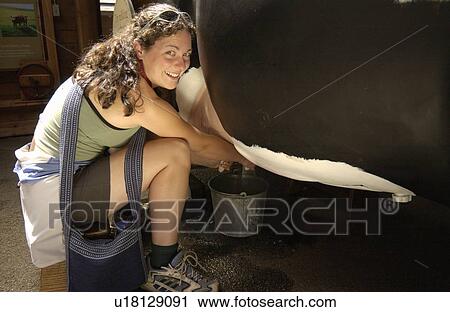 Stock Image - Woman (20-25) practicing milking an artificial cow, Seattle Zoo, Washington, USA. Fotosearch