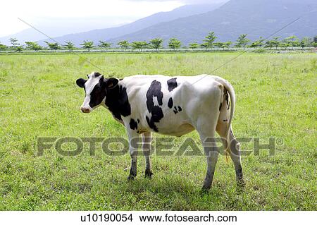 Picture - Outdoors, Day. Fotosearch