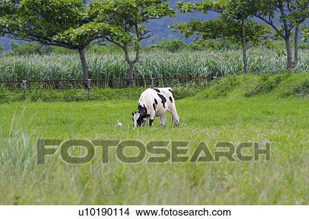 Picture - Outdoors, Day. Fotosearch