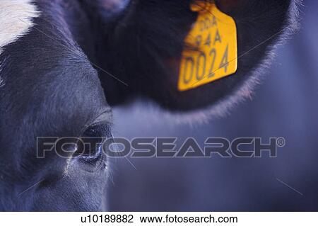 Outdoors, Day View Large Photo Image Stock Image - Outdoors, Day. Fotosearch