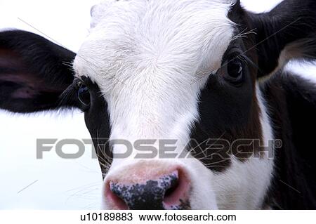 Stock Image - Outdoors, Day. Fotosearch
