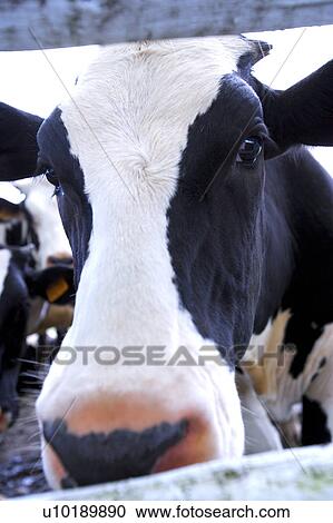 Stock Image - Outdoors, Day. Fotosearch