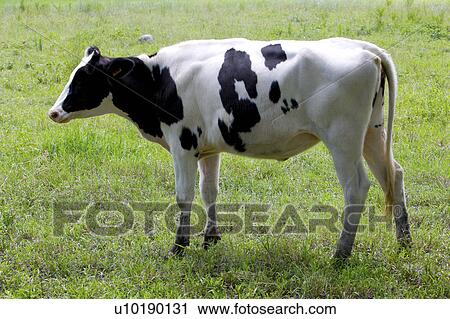 Stock Image - Outdoors, Day. Fotosearch