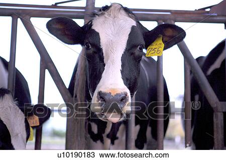 Stock Image - Outdoors, Day. Fotosearch