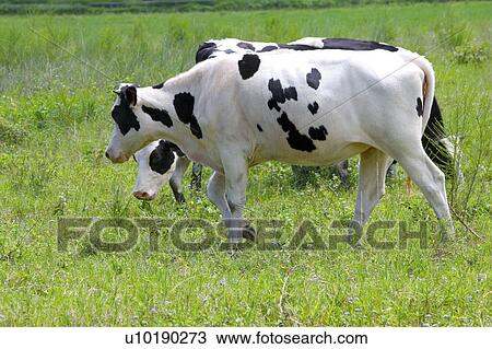 Stock Image - Outdoors, Day. Fotosearch