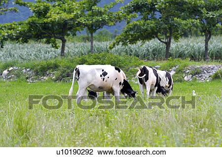 Stock Image - Outdoors, Day. Fotosearch