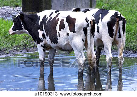 Stock Image - Outdoors, Day. Fotosearch