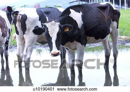 Stock Image - Outdoors, Day. Fotosearch