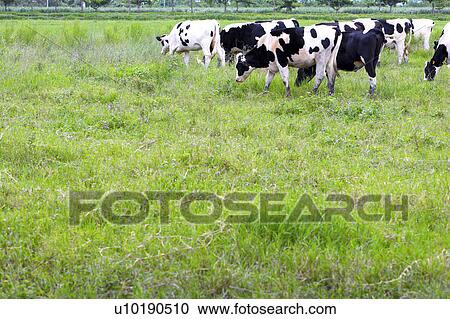 Stock Image - Outdoors, Day. Fotosearch