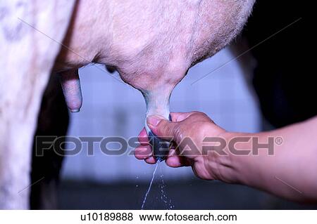 Stock Photo - Outdoors, Day. Fotosearch