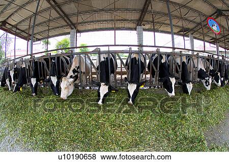 Outdoors, Day View Large Photo Image Stock Photo - Outdoors, Day. Fotosearch
